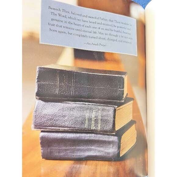 Amish Cooks Family Favorite Recipes Lovina Eicher Cookbook Illustrated Hardback - Picture 10 of 11